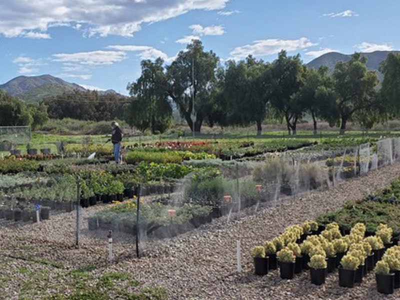 Growing Works Camarillo CA